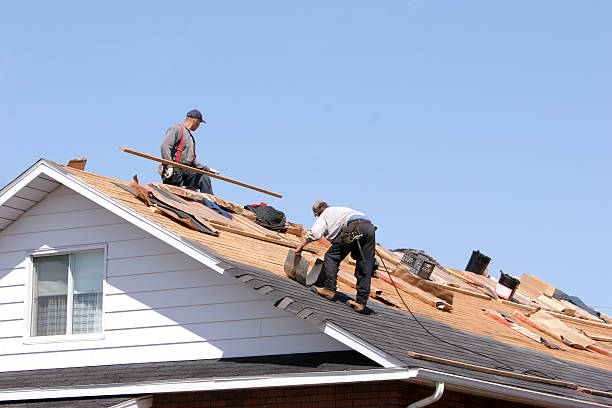 Best Roof Ventilation Installation  in Carlisle, PA